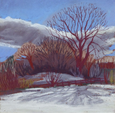 Sue Campion, Sunlight on Winter Trees
 