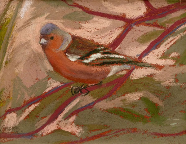Sue Campion, Chaffinch