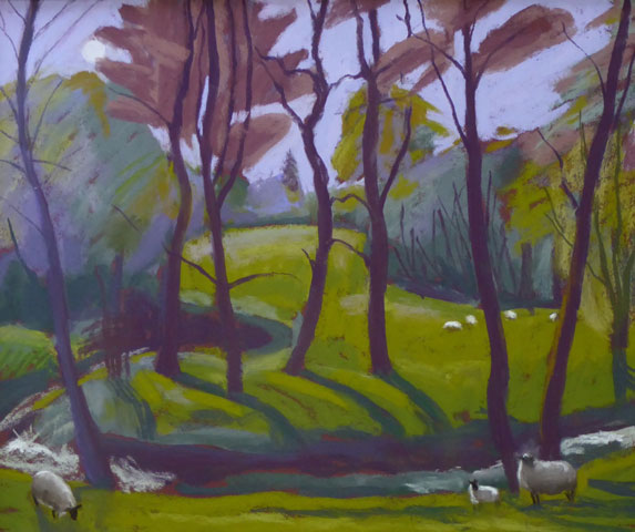 Lambing Time at Cound (Walks with Trish)